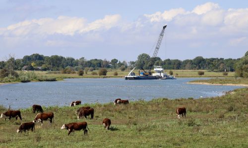 baggeren nevengeul IJssel