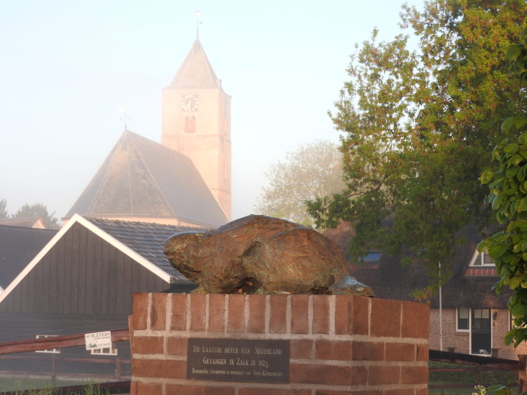Laatste bever van Zalk