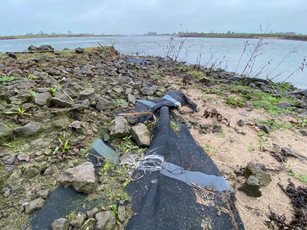 Losliggende oeverdoek langs de IJssel 