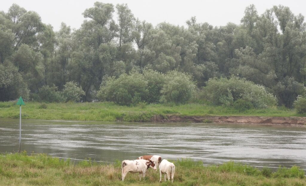 ruimte voor de rivier 2.0