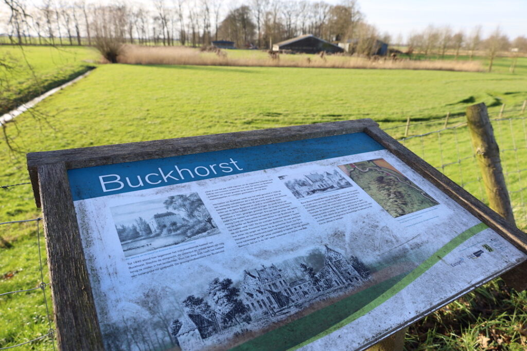 Buckhorst Zalk