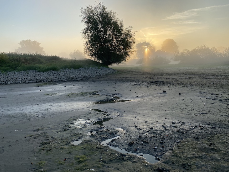 rivierverhalen droogte in riviernatuur