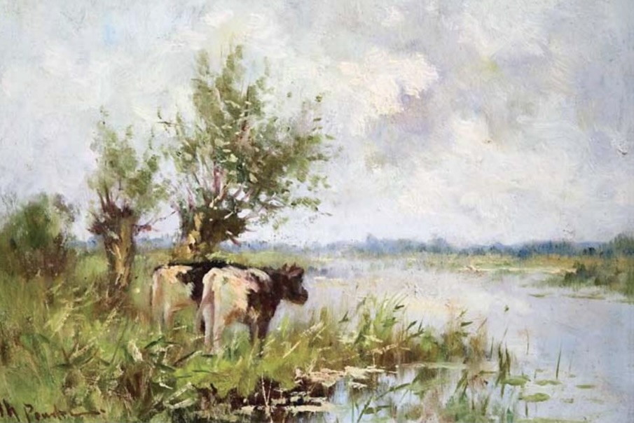 Knotwilg ijsseldelta rivierverhalen 