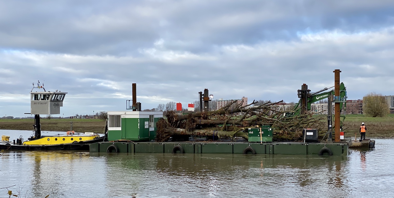 rivierhout IJssel