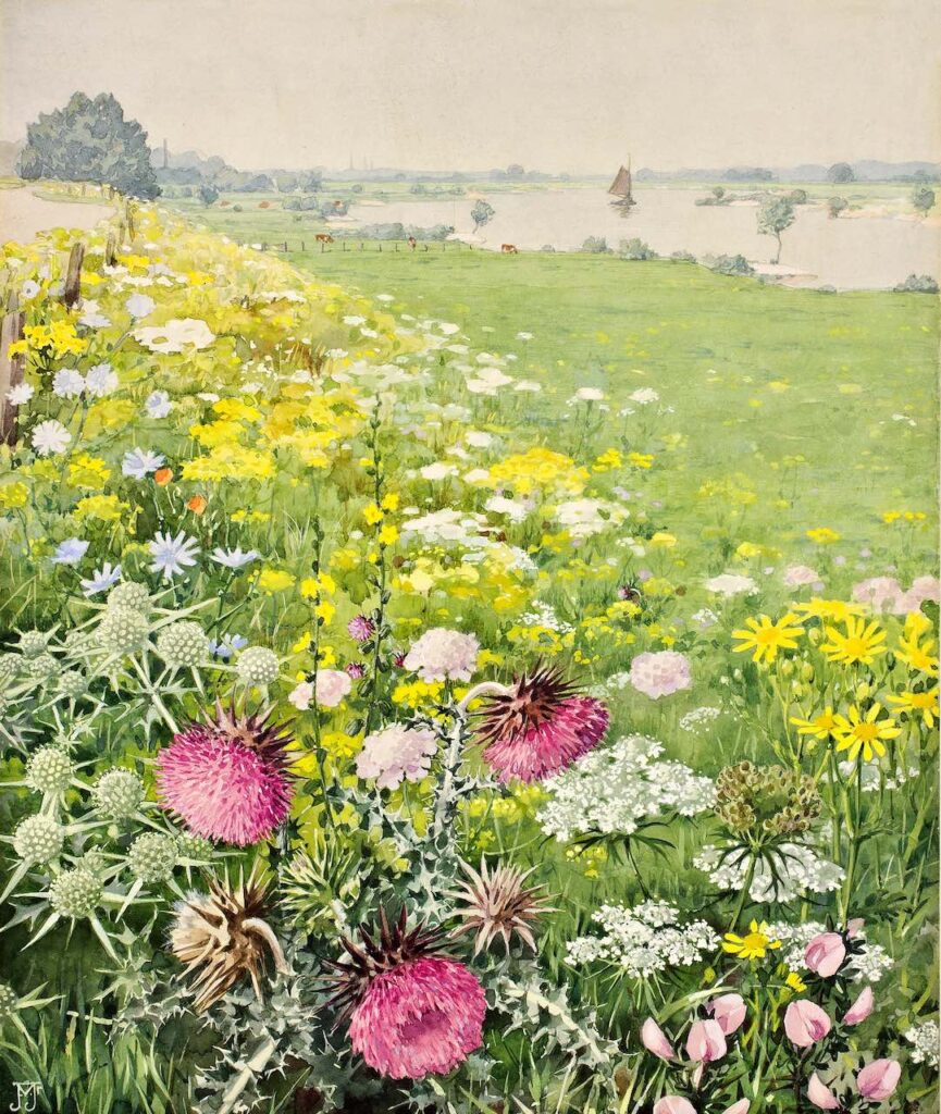 Voerman IJsseldijk Verkade-album