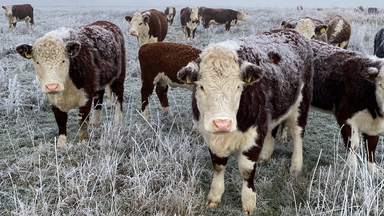 natuur en landbouw uiterwaarden