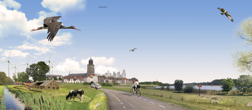 zwarte ooievaar omgevingsvisie Overijssel