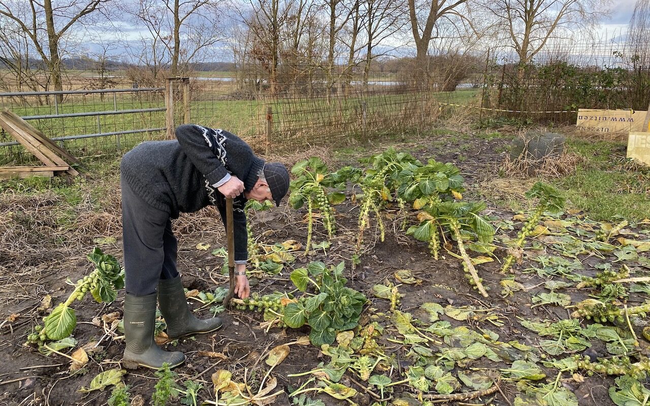 Johan Groten in zijn tuin Langs de IJssel