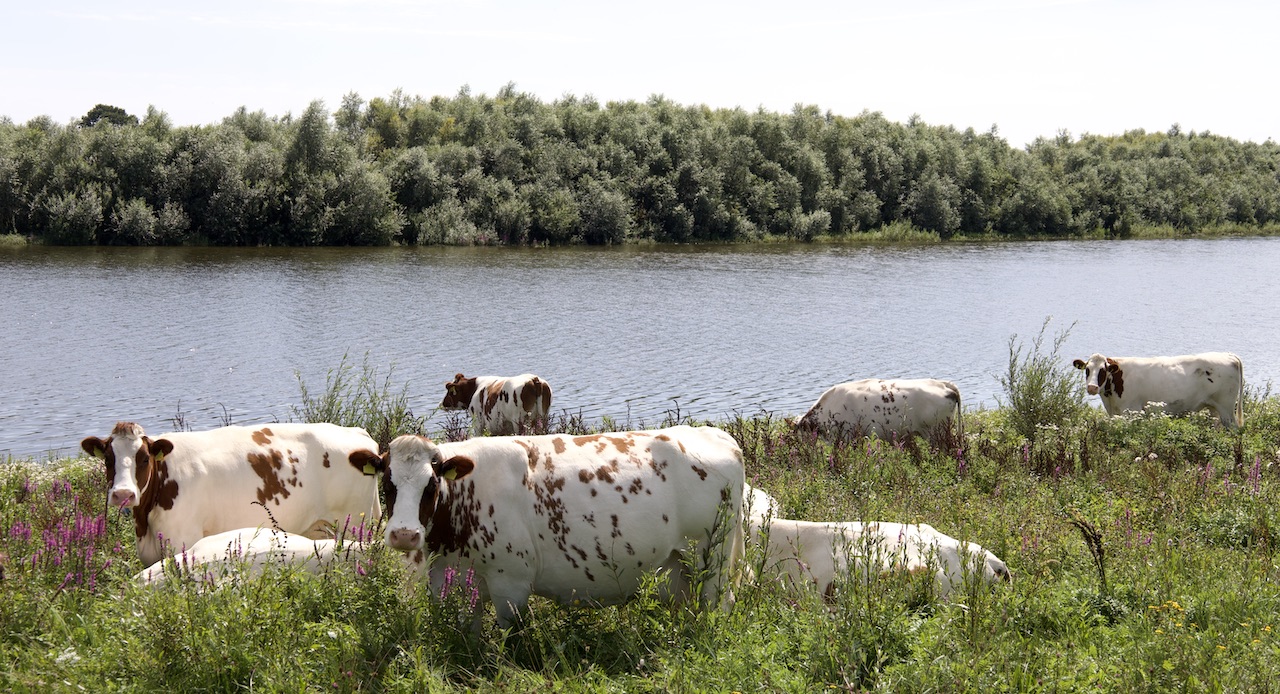 Langs de Ijssel natuurinclusieve landbouw