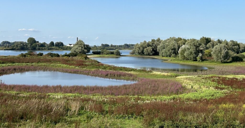 De Rijn Verbindt