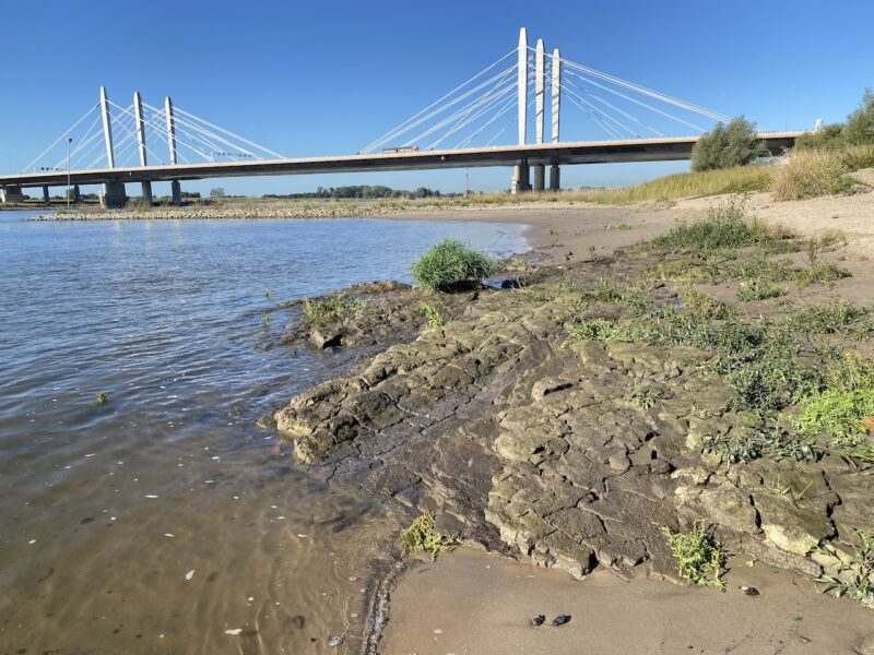 Waal Integraal Rivier Management
