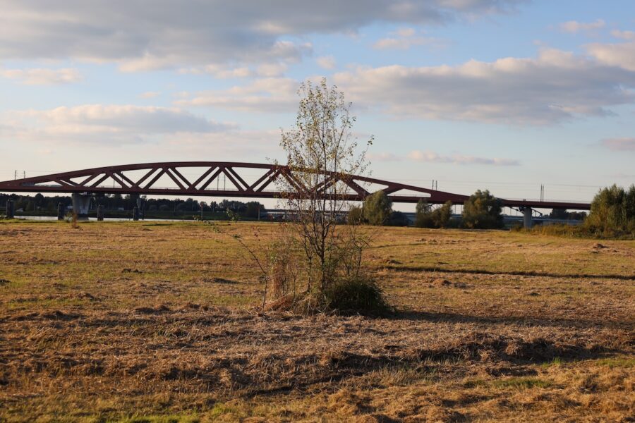 Onderhoud natuur langs de IJssel door IJsselwaarden
