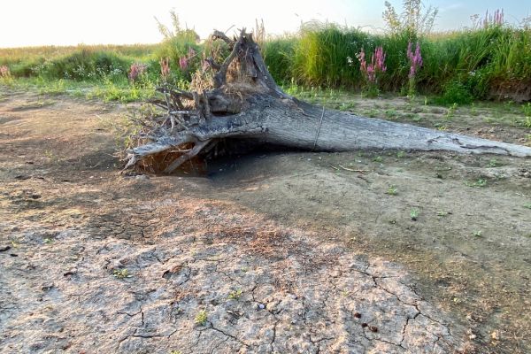 riviernatuur Rivierverhalen
