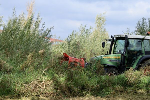 IJsselwaarden onderhoud uiterwaarden IJssel