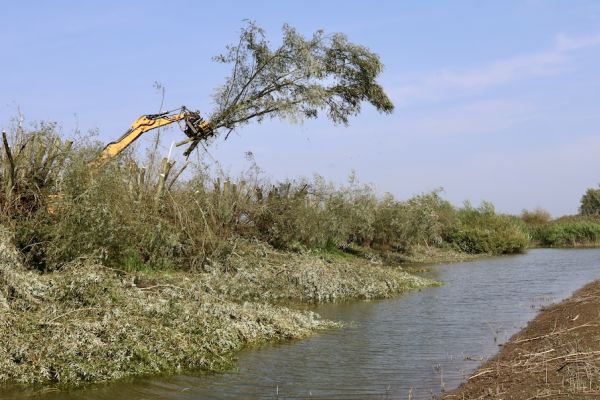 onderhoud uiterwaarden