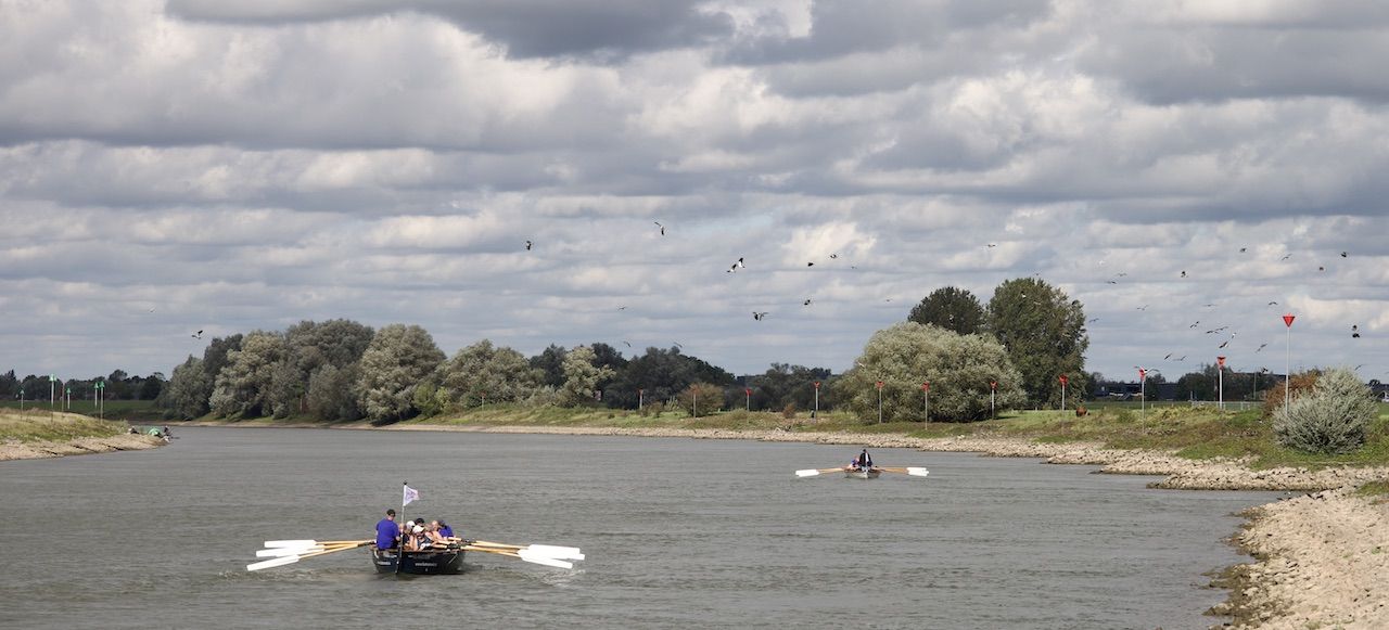 schone IJssel sloeproeien