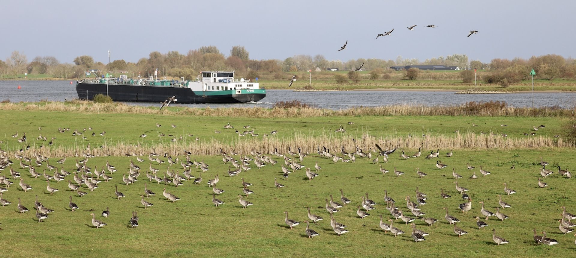 IJssel Ruimte voor de Rivier 2.0